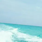 びーく