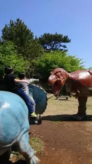 スズキの画像