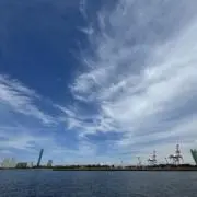 ぽんぬの画像
