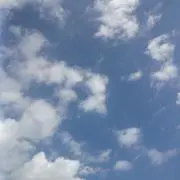★tmsjh70