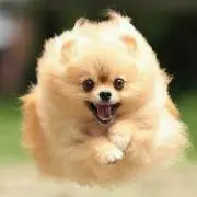 くーちゃん