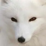 岩下モナカ