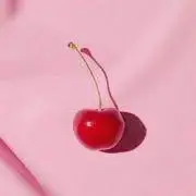 ちょんの画像