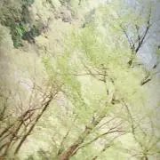 I_nの画像
