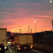 まるにこ