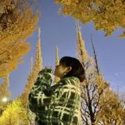 アラシヤマの画像