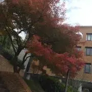 yu_2en