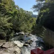 ko-ajの画像