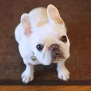 けみお(❁ᴗ͈ˬᴗ͈)♡