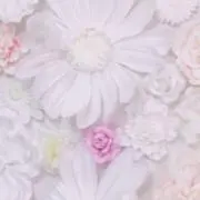 monの画像