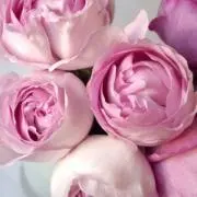 ruru♡プロフ必読の画像