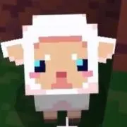WAWA堂｜プロフ必読の画像