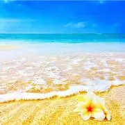 JShopの画像
