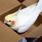 椎名★プロフィールご覧下さい……。