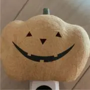 パンプキンの画像