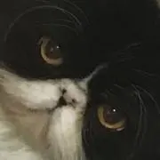 えばこ
