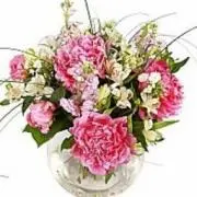 pink_peonyの画像