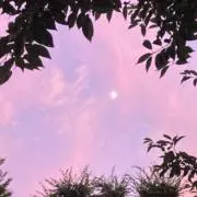 Soiの画像