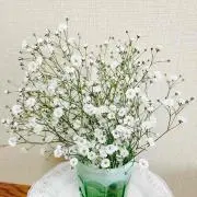 kumakiriの画像