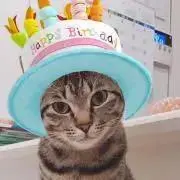 ☆K&R☆プロフ必読！