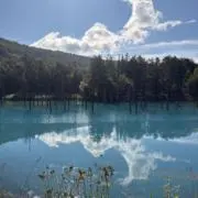 ばしの画像