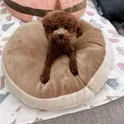 roahの画像