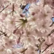 ai♡即購入◎の画像