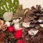 ゆっこの画像