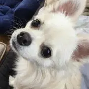くぅママ