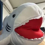 ホホジロザメ(白)a.k.a断捨離中の画像