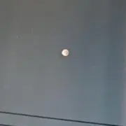 ゆに
