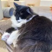 はるの画像