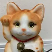 ねこにゃんの画像