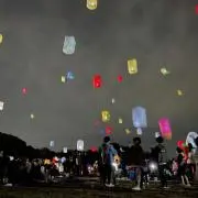 むぎむぎの画像
