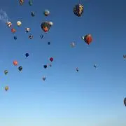 FU