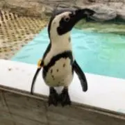 ⭐︎の画像
