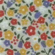アンタンの画像
