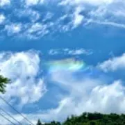 ao_【24時間以内発送】の画像