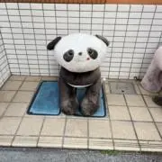 たてのこ⭐︎の画像