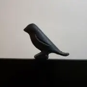 さんまるの画像