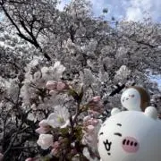 みんと