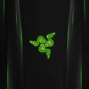 翔