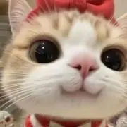 ぴょん太郎の画像