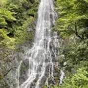 ナフタンガの画像