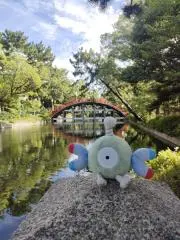 Akariの画像