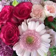 モモ