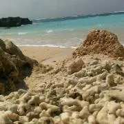 Marine