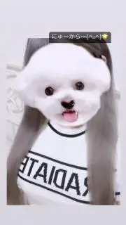 あむちの画像