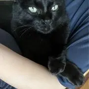 ゆの画像