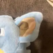 パンジャ